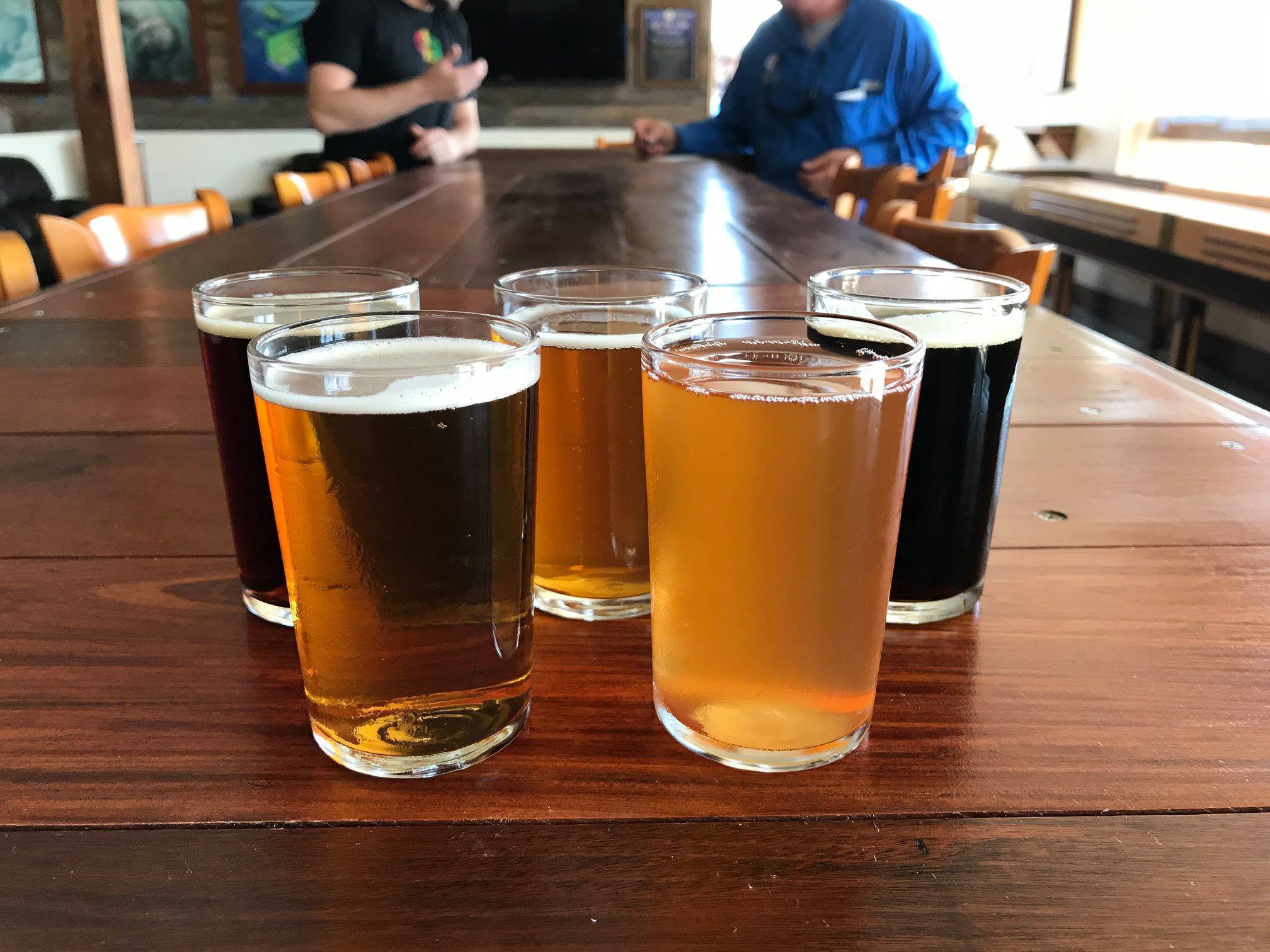 What's Brewing at Saltwater Brewery - March 2nd