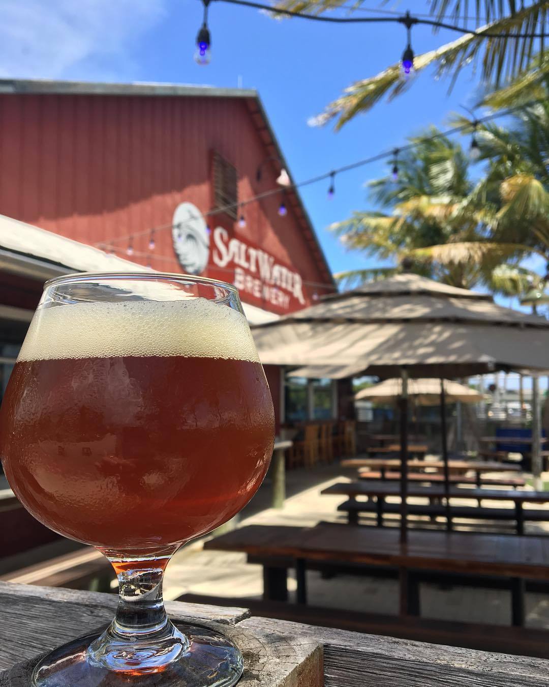 What's Brewing at Saltwater Brewery - December 27th