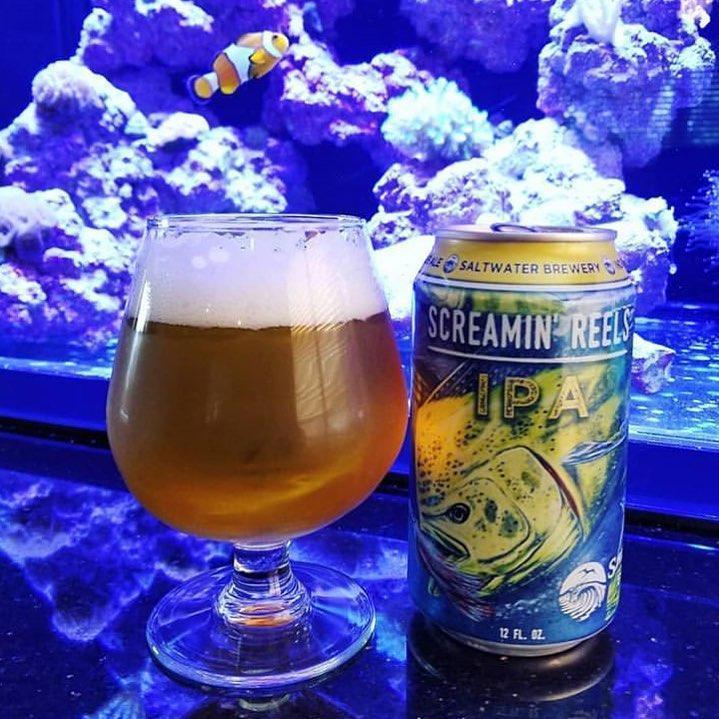 What's Brewing at Saltwater Brewery - January 10th