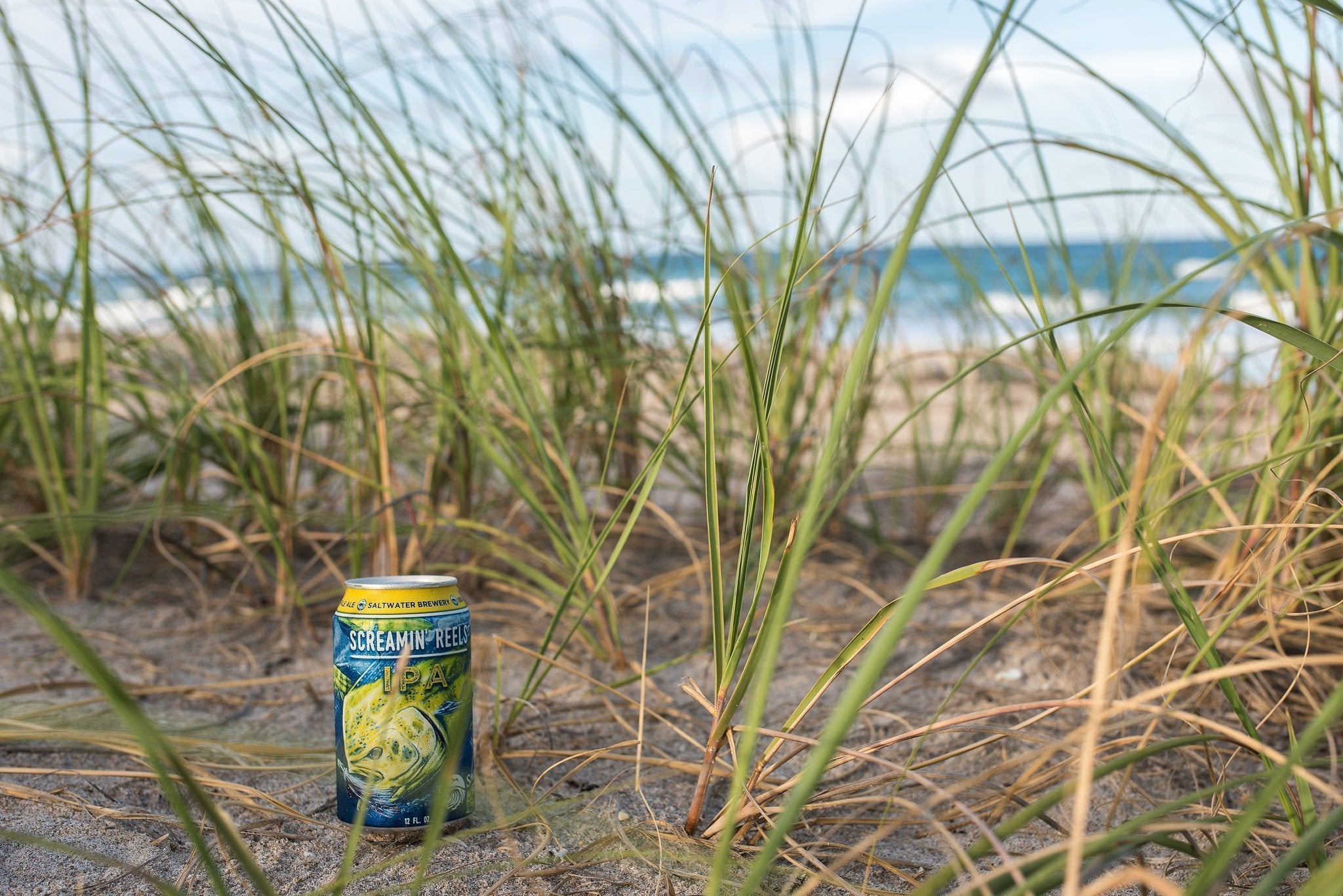 December 28th - What's Brewing at Saltwater Brewery