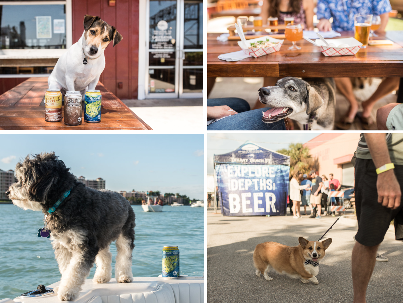 What's Brewing at Saltwater Brewery - July 25th