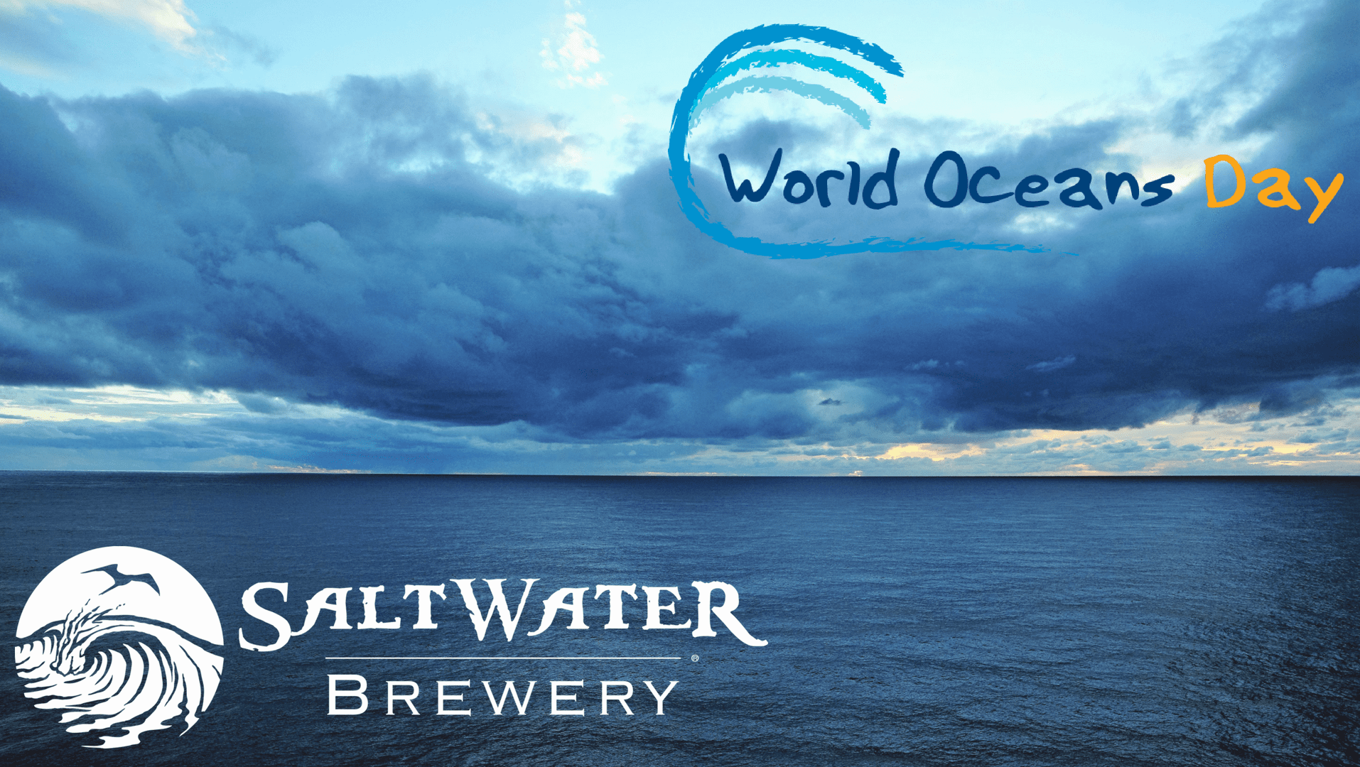 What's Brewing at Saltwater Brewery - June 7th