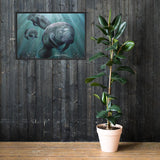 Sea Cow Framed Print