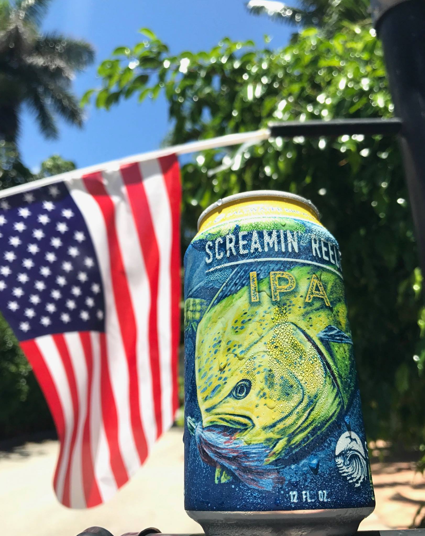 What's Brewing at Saltwater Brewery - May 24th