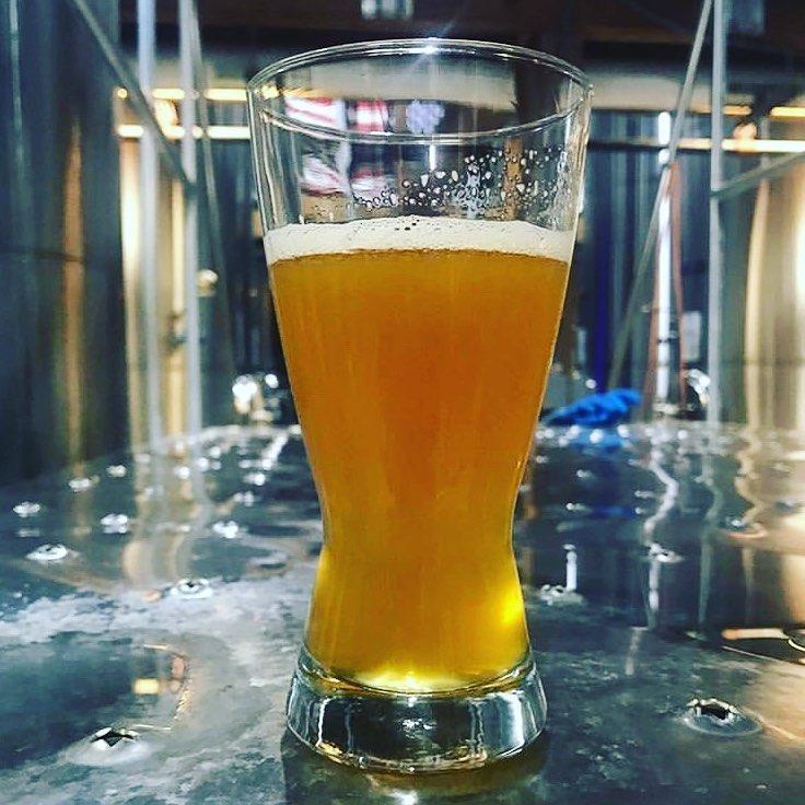 What's Brewing at Saltwater Brewery - March 7th