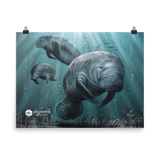 Sea Cow Poster